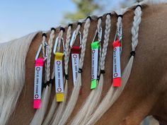 several braids on the back of a horse's head with name tags attached to them