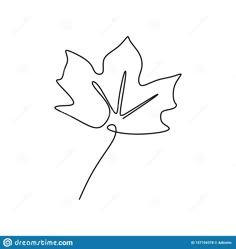 a single line drawing of a maple leaf