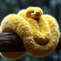 a stuffed snake is sitting on a branch