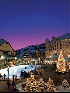 people are standing around in front of a christmas tree and pool at the base of a mountain