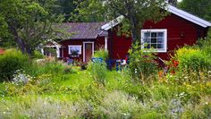 a small red house surrounded by trees and flowers