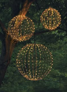 three lighted balls hanging from a tree in the woods