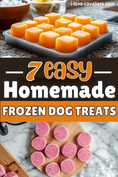 the 7 easy homemade frozen dog treats are ready to be eaten and put in the freezer