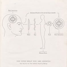 an old book with diagrams on how to see the human body and what to expect about it