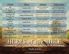 an image of herbs of the bible