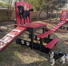 Puppy Scapes Double Ramp w/ Paw Print Kat Diy, Shelter Ideas, Dog Shelter, Daycare Design