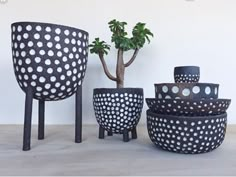 black and white pots with polka dots on them next to a potted plant in front of a wall