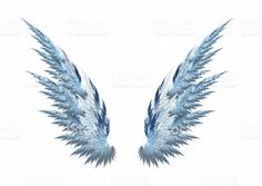 two blue feathers on a white background with clippings to the left and right