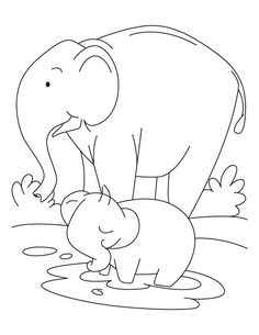 an elephant and its baby are in the water