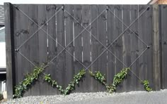 an image of a fence with vines growing on it