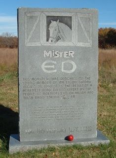 a monument in the middle of a field with a horse on it's head