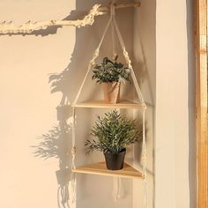 two potted plants sit on three tiered shelvings in front of a white wall