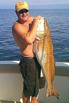 a man on a boat holding a large fish