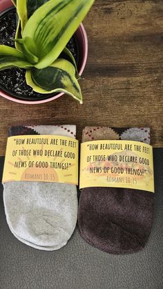 two pairs of socks sitting on top of a table next to a potted plant