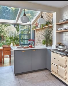 a kitchen with an oven, sink and shelves filled with potted plants in it