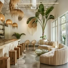 a living room filled with lots of furniture and plants on the wall next to windows