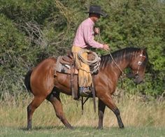 a man riding on the back of a brown horse in a field next to trees