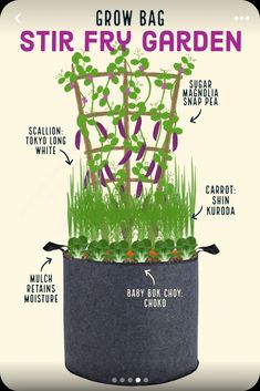 an image of a potted plant with instructions on how to grow the plants in it