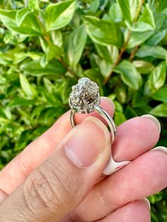 To stay updated on new items and giveaways please follow us on Instagram! @ShineBrightCrystalsApproximate Size: Adjustable Enhance your jewelry collection with our Pyrite Adjustable Ring, a striking blend of natural pyrite encased in silver plated brass. This piece not only offers the visual appeal of sparkling pyrite but also includes a clear coating for superior tarnish resistance. 🌟 Perfect for adding a touch of glamour to any outfit. Sparkling Pyrite: Known for its metallic luster and golden hue, each stone is unique. Adjustable Design: Tailored to fit any finger size, ensuring comfort and style. Tarnish Resistant: Enhanced with a clear coating to maintain its shine and prevent wear. Fine Craftsmanship: Expertly handcrafted, merging natural beauty with durable materials. Versatile Fas Silver Pear-shaped Jewelry For Proposal, Sparkling Oval Ring For Gift, Adjustable Crystal Ring With Center Stone As Gift, Round Crystal Ring For Gift, Sparkling Round Crystal Gift Ring, Gift Crystal Ring With Round Cut, Crystal Rings With Halo Setting For Gifts, Crystal Ring With Halo Setting For Gift, Sparkling Crystal Ring For Wedding