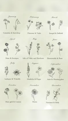 an image of flowers drawn on a sheet of paper with the words, flower and plant names