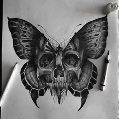 a pencil drawing of a butterfly skull