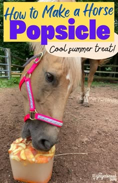 a horse eating food out of a plastic container with the words how to make a horse popsicle cool summer treat