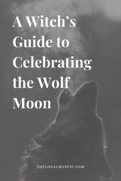 a wolf with the words, a witch's guide to celebrating the wolf moon