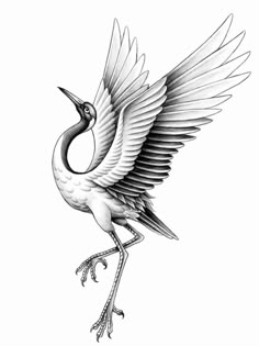 a black and white drawing of a bird with its wings spread out, flying in the air