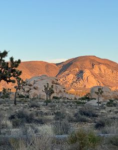 the desert is full of rocks and trees