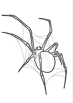 a black and white drawing of a spider