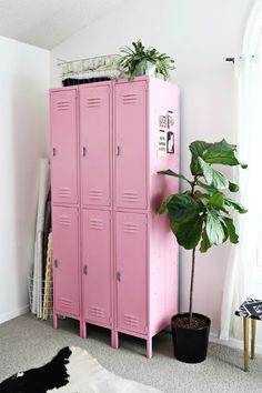 a pink locker next to a potted plant