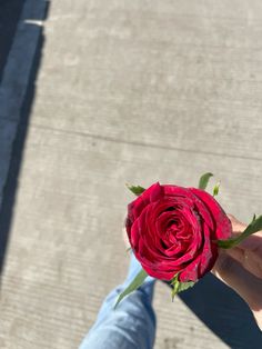 a person is holding a red rose in their left hand on the sidewalk, with only one flower still attached to it