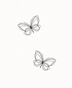 two butterflies flying side by side in the sky