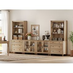 a living room scene with focus on the bookcases and shelves that are open