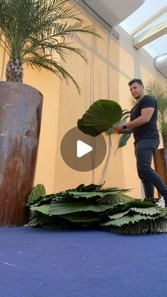 a man standing on top of a blue carpet next to large potted palm trees