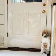 a dog sitting on the floor in front of a door