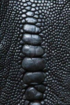 the back end of an alligator skin leather jacket