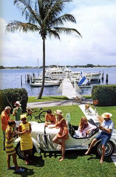 a group of people sitting on top of a white car in the grass next to a body of water