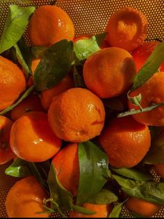 a pile of oranges with green leaves on them