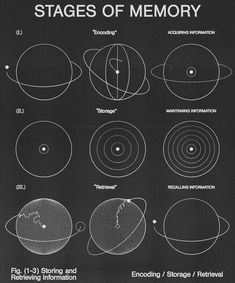 an image of the stages of memory on a blackboard with white lines and circles