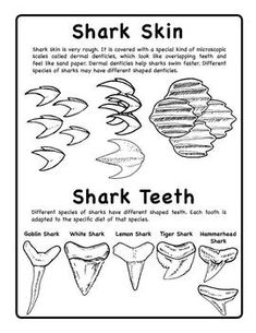 shark teeth are shown in black and white, with the words shark skin below them