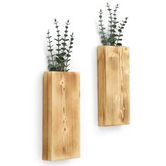 two wooden vases with plants in them