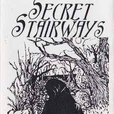 a book cover with an image of a bear in the woods and text that reads secret stairways