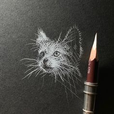 a pencil is next to a drawing of a cat