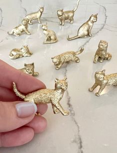 a person holding a tiny gold cat figurine in front of small cats on a marble surface