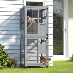 an orange and white cat standing next to a gray cage on the side of a house