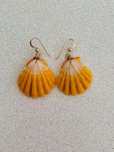 Hawaii genuine sunrise shell gold wire wrapped dangling earrings. The ear wires are 14K gold filled and nickel free making them great for sensitive ears. These indigenous precious shells come from the beaches of the Hawaiian islands. This exact pair may have been sold, but one can be made for you that is similar and just as beautiful! Each shell is uniques and therefore the individual appearance of the shells may vary. A great keepsake gift for someone special! Nickel-free Yellow Jewelry For The Beach, Beachy Gold Dangle Earrings, Handmade Gold Shell With Beachy Style, Beachy Gold Shell Earrings, Gold 14k Gold Filled Earrings For Beach, Gold Shell Ear Wire Gift, Beach Wire Wrapped Shell, Gold Shell Earrings With Ear Wire As Gift, Gold Shell Earrings With Ear Wire For Gift