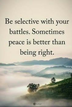 a quote that says, be selective with your battles sometimes peace is better than being right