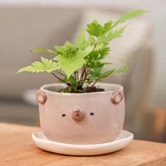 Decorate the season with this bear's gentle attitude! Paiboon of Thailand uses ceramic and classic pottery techniques to create this flower pot and saucer set, hand-painted with a lovely bear theme. The accessory also allows for drainage and has a glazed finish. Plant Pots Ceramic, Cute Plant Pot Designs, Cute Flower Pots, Spring Ceramics, Bear Pottery, Ceramic Pottery Ideas, Clay Plant Pots, Clay Bear, Plant Pot Design