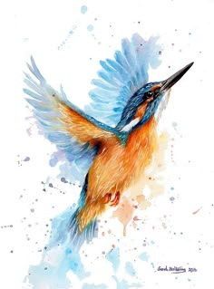 a colorful bird flying through the air with its wings spread out, painted in watercolor